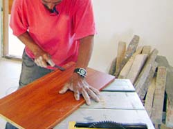 Carp&iacute;ntero